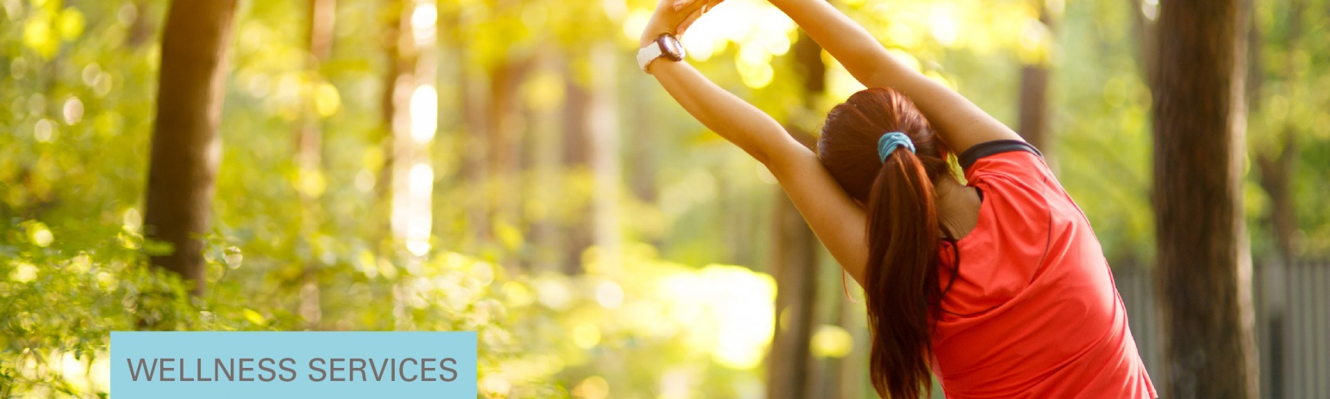 Chiropractic services denver, wellness services denver.