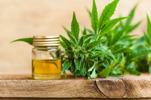 Chiropractic And CBD
