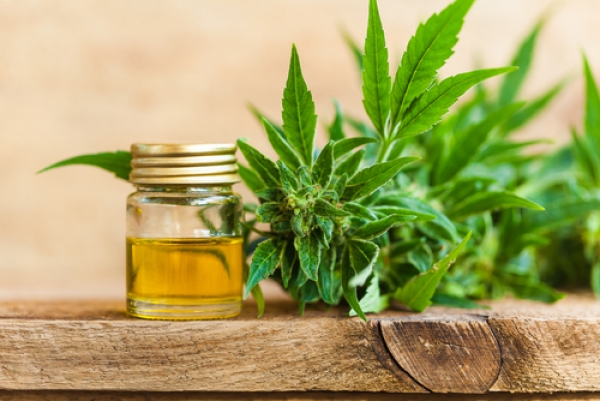 Chiropractic And CBD