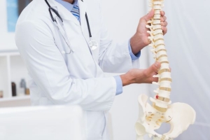 How to Accurately Compare the Top Chiropractors in Denver