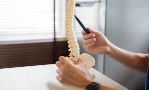 Spinal Adjustments Explained: Natural Relief for Back Pain