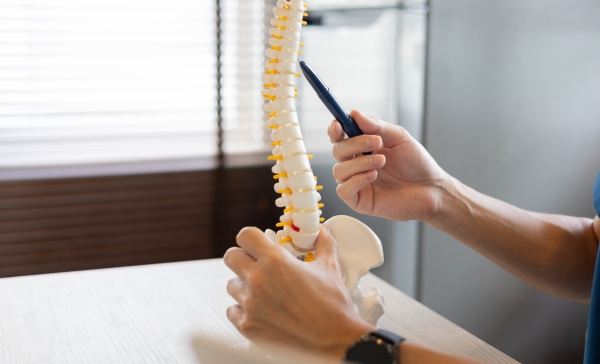 Spinal Adjustments Explained: Natural Relief for Back Pain