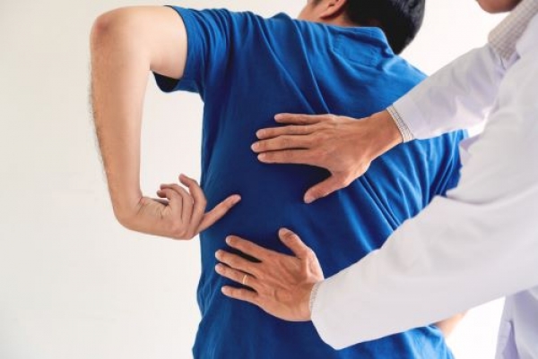 How To Select The Best Chiropractor In Denver For Your Needs