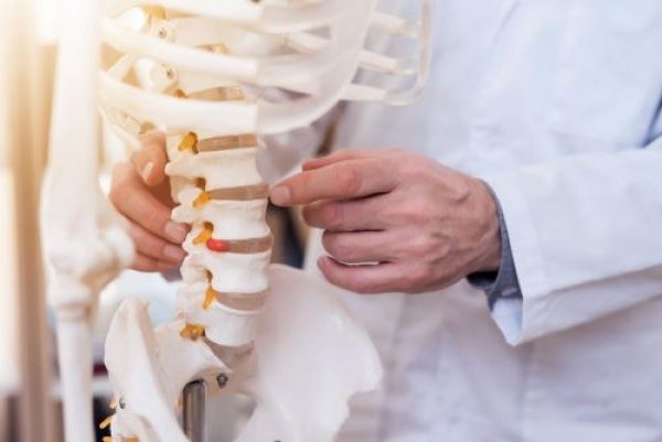 What Do The Top Chiropractors In Denver Have In Common?